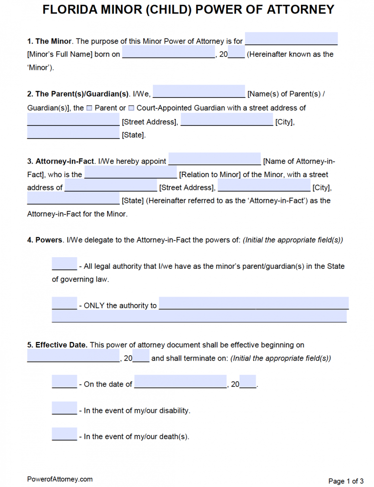 power of attorney for child custody florida